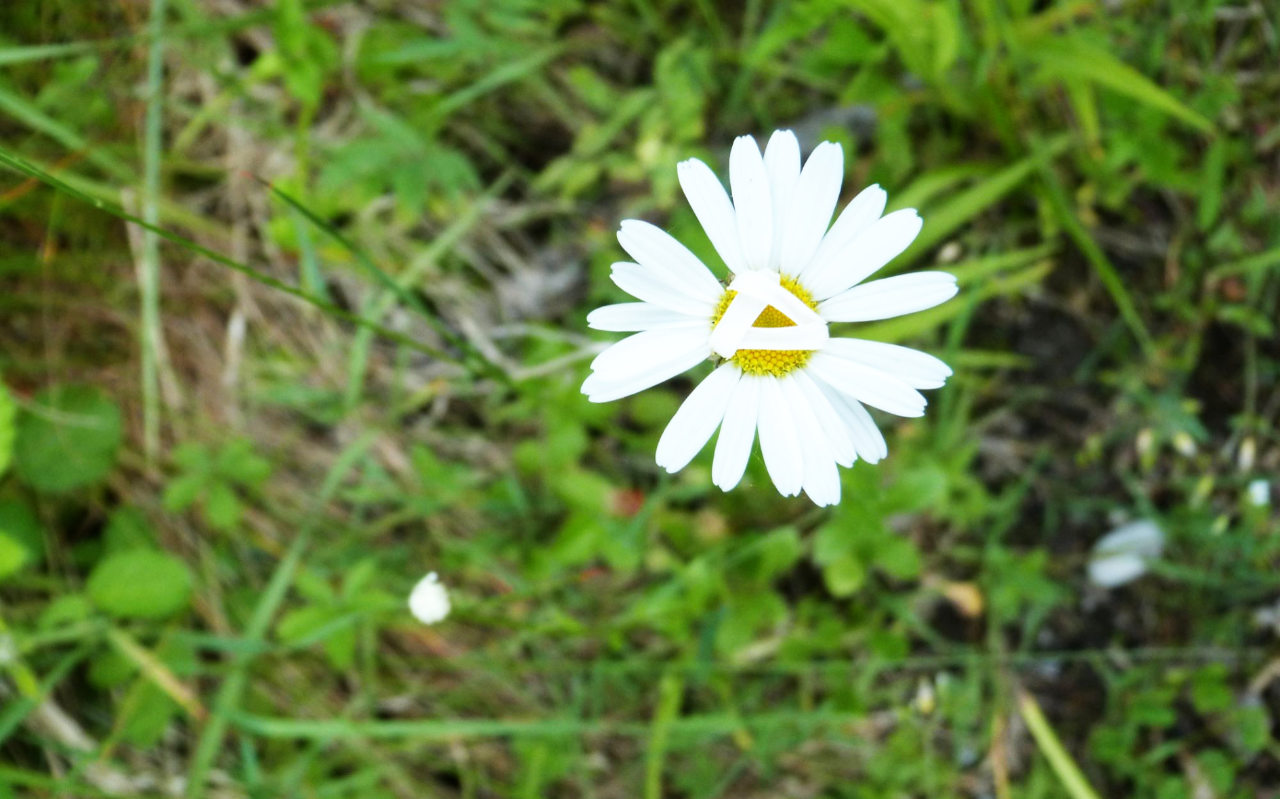H wie … Hybris